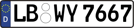 LB-WY7667