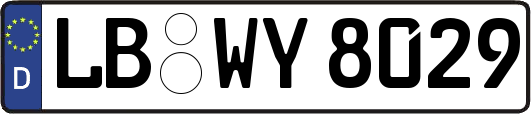 LB-WY8029