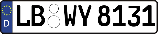 LB-WY8131