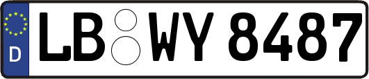 LB-WY8487