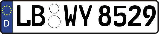LB-WY8529