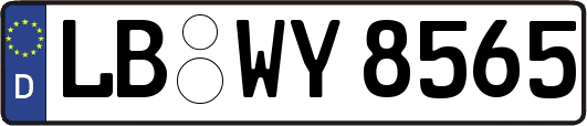 LB-WY8565