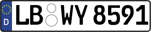 LB-WY8591