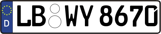 LB-WY8670