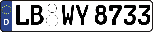 LB-WY8733