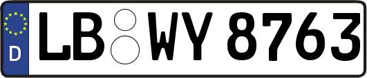 LB-WY8763