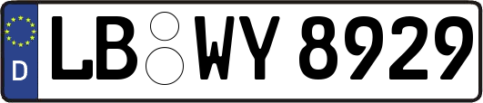 LB-WY8929