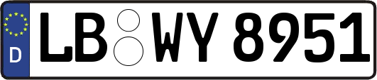 LB-WY8951