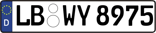 LB-WY8975
