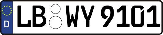 LB-WY9101