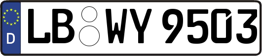 LB-WY9503