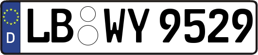 LB-WY9529