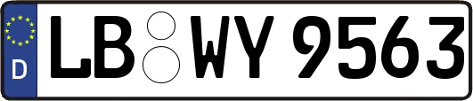 LB-WY9563