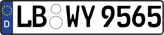LB-WY9565