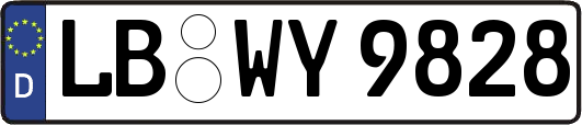 LB-WY9828