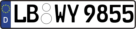 LB-WY9855