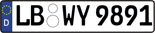 LB-WY9891