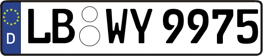 LB-WY9975