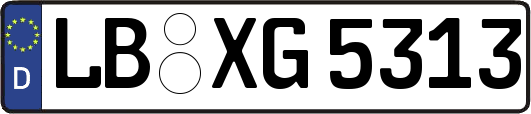 LB-XG5313