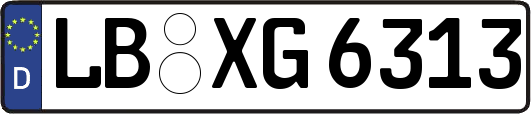 LB-XG6313