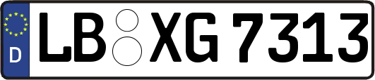 LB-XG7313