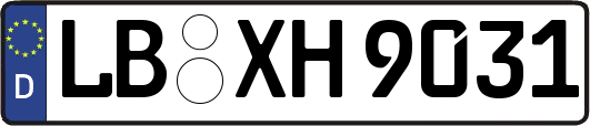 LB-XH9031