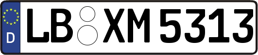 LB-XM5313