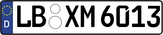LB-XM6013