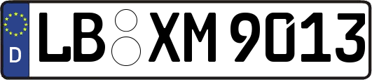 LB-XM9013
