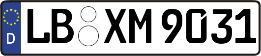 LB-XM9031