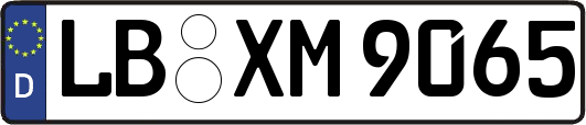 LB-XM9065