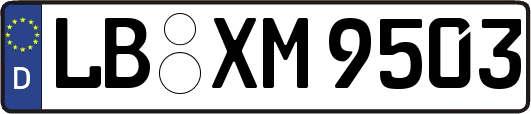 LB-XM9503