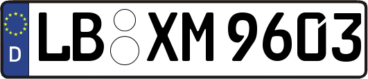 LB-XM9603