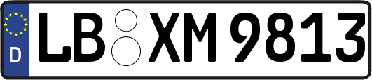 LB-XM9813