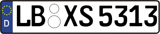 LB-XS5313