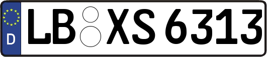 LB-XS6313