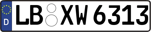 LB-XW6313