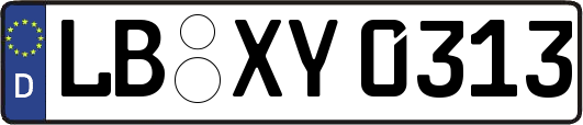 LB-XY0313
