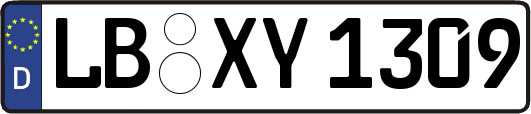 LB-XY1309
