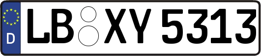 LB-XY5313