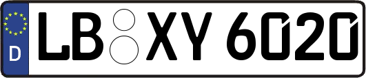 LB-XY6020