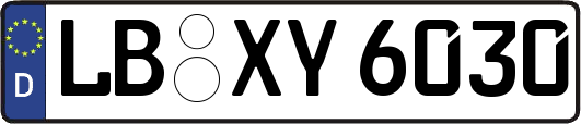 LB-XY6030