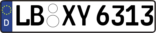 LB-XY6313