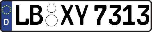 LB-XY7313
