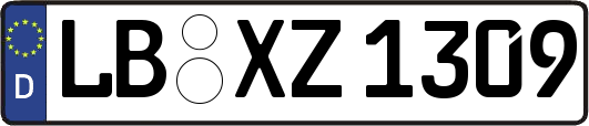 LB-XZ1309