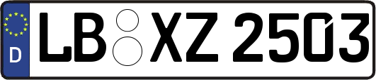 LB-XZ2503