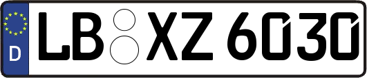 LB-XZ6030