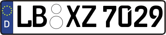 LB-XZ7029