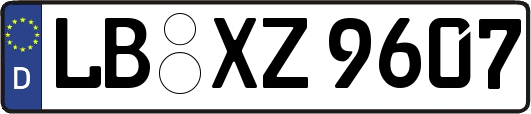 LB-XZ9607