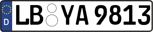 LB-YA9813